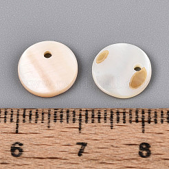 天然淡水貝のディスクチャーム  貝殻色  10x1~2mm  穴：1.2mm&nbsp;BSHE-T014-42B