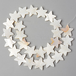 Natural Freshwater Shell Beads Strands&nbsp;SHEL-N026-72