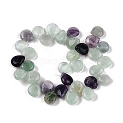 天然石蛍石ビーズ連売り  ティアドロップ  トップ掘削  12~12.5x10~11x5~5.5mm  穴：1~1.2mm  約33個/連  8.86~10.2''（22.5~25.5センチメートル）&nbsp;G-T138-118