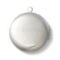 Tarnish Resistant 304 Stainless Steel Diffuser Locket Pendants&nbsp;STAS-K002-10P