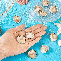 10Pcs Natural Shell Pendants&nbsp;PALLOY-TAC0204