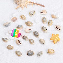 Cowrie Shell Links&nbsp;SSHEL-PH0002-45
