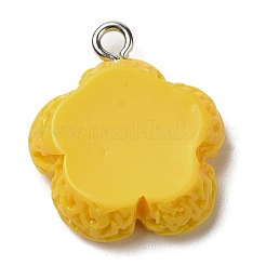 Opaque Resin Pendants&nbsp;RESI-L038-01P-05