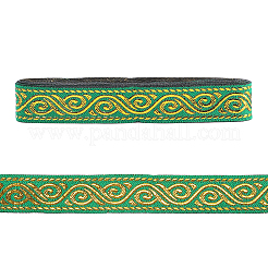 Ethnic Style Polyester Ribbon&nbsp;DIY-WH20048-087B