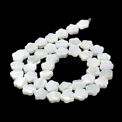 天然ニシキウズガイシェルビーズ連売り  花  雪  9.5x10x3mm  穴：0.6mm  約42~43個/連  15.75''（40センチメートル）&nbsp;X-BSHE-P033-07