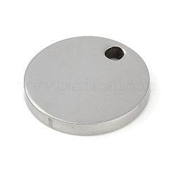 Non-Tarnish 304 Stainless Steel Charms&nbsp;STAS-L279-006P