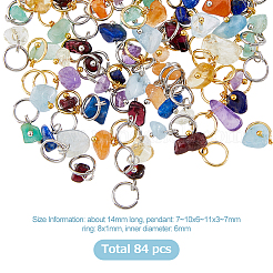 12 Sets 2 Colors  Natural Mixed Stone Charms&nbsp;G-FH0001-87