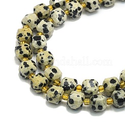 Natural Dalmatian Jasper Beads Strands&nbsp;G-I376-D85-01