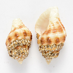 Spiral Shell Beads&nbsp;SSHEL-N033-05A