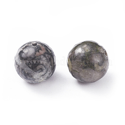 Natural Fossil Beads&nbsp;G-G782-04