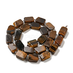 Natural Tiger Eye Beads Strands&nbsp;G-Z043-A01-01