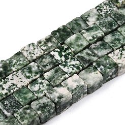 天然グリーンスポットジャスパービーズ連売り  キューブ  7.5~9x7.5~9x7.5~9mm  穴：1.2mm  約47~49個/連  15.35~15.79''（39~40.1センチメートル）&nbsp;G-T139-8x8-23A