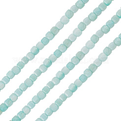 1 Strand Natural Freshwater Shell Dyed Beads Strands&nbsp;SHEL-TA0001-44A