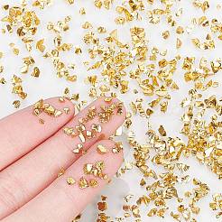 Glass Chip Beads&nbsp;MRMJ-OC0001-39G