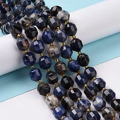 Natural Sodalite Beads Strands with Seed Beads&nbsp;G-G990-E01