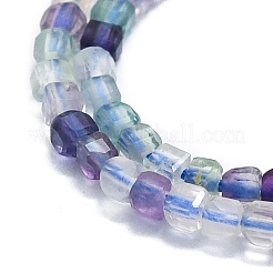 Natural Fluorite Beads Strands&nbsp;G-P457-B01-45