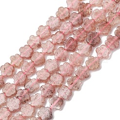Natural Strawberry Quartz Beads Strands&nbsp;G-B138-C17-01