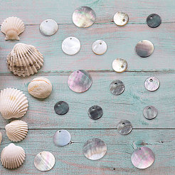 40Pcs 4 Style Black Lip Shell Pendants&nbsp;SSHEL-SC0001-15