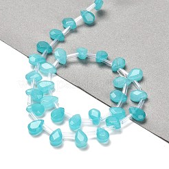 Dyed Natural Amazonite Beads Strands&nbsp;G-Q167-A11-02