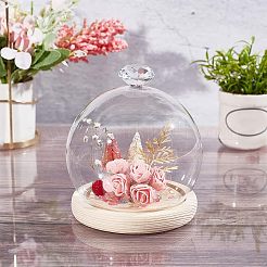 Glass Dome Cover&nbsp;ODIS-WH0002-26A