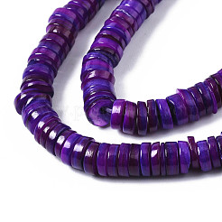 Natural Freshwater Shell Beads Strands&nbsp;SHEL-S278-025E