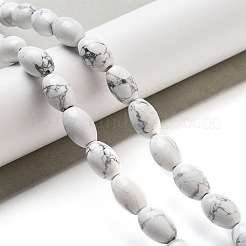 Natural Howlite Beads Strands&nbsp;G-B106-B25-01