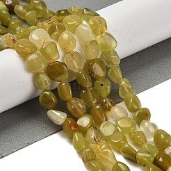 Natural Yellow Opal Beads Strands&nbsp;G-P497-01E-02A