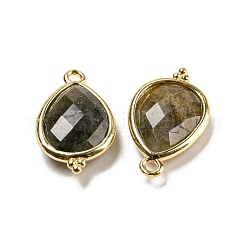 Natural Labradorite Faceted Pendants&nbsp;G-M431-15G-04