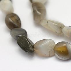 天然石ボツワナアゲートビーズ連売り  ナゲット  12~22x8~13x4~12mm  穴：1mm  約21~29個/連  15.7インチ&nbsp;G-L464-03