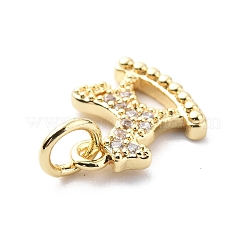 Brass Micro Pave Cubic Zirconia Charms&nbsp;ZIRC-F131-24G