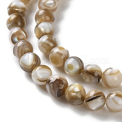 Natural Freshwater Shell Beads Strands&nbsp;SSHEL-B002-15