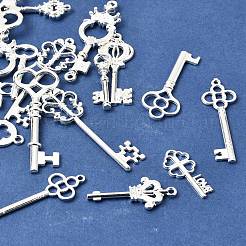 Alloy Pendants&nbsp;FIND-D040-01S