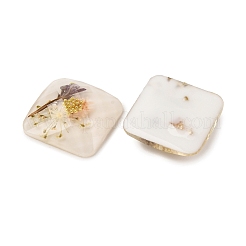 Transparent Resin Cabochons&nbsp;RESI-K033-12B