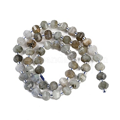 Natural Labradorite Beads Strands&nbsp;G-G182-B02-02