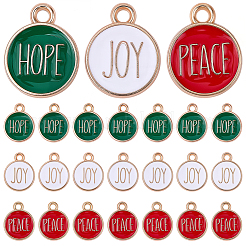 60Pcs 3 Colors Zinc Alloy Enamel Pendants&nbsp;ENAM-SC0008-26