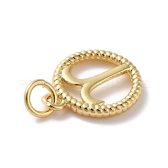 Brass Charms&nbsp;KK-A160-20G-01
