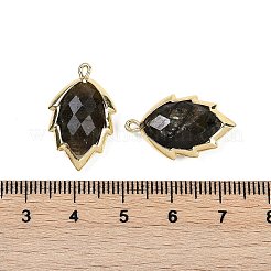 天然ラブラドライトのファセットリーフペンダント  ラックメッキ真鍮チャーム  ゴールドカラー  23x13.5x5.5mm  穴：1.2mm&nbsp;G-I375-04G-08
