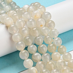 天然ホワイトムーンストーンビーズ連売り  ラウンド  8~8.5mm  穴：1mm  約47個/連  15.35インチ（39cm）。&nbsp;G-I268-A-8mm-01