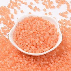 6/0 Imitation Jade Glass Seed Beads&nbsp;SEED-T006-04A-06