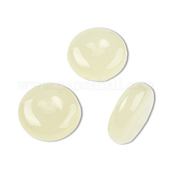 Resin Beads&nbsp;RESI-N034-06-Y01
