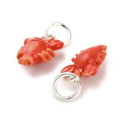 Alloy Enamel Pendants&nbsp;ENAM-I080-04S-04