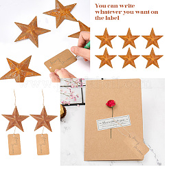 Star Rust Iron Big Pendants&nbsp;IFIN-GF0001-11C