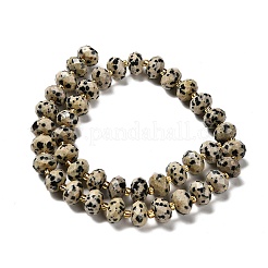 天然石ダルメシアンジャスパービーズ連売り  多面カット  ロンデル  シードビーズで  9.5~10.5x6.5mm  穴：1.2mm  約44~45個/連  15.35~15.47インチ（39~39.3cm）&nbsp;G-P573-A63-10x6mm