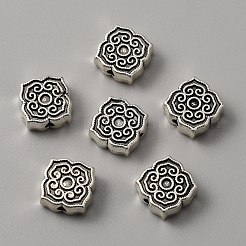 Tibetan Style Alloy Beads&nbsp;TIBEB-CJC0001-09AS