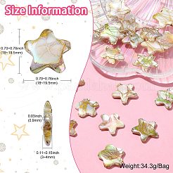 ドローベンチスタイルの天然淡水シェルビーズ 20 個  スター  トウモロコシの穂の黄色  18~19.5x18~20x3~4mm  穴：0.9mm&nbsp;BSHE-CJ0001-08