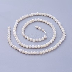 Shell Beads Strands&nbsp;G-F619-27-3mm