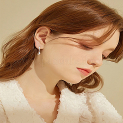 4ペア4スタイル合金フレンチフックピアス（女性用）  ムーンスター  ミックスカラー  22~23x6~8mm  1ペア/スタイル&nbsp;EJEW-LP0007-117