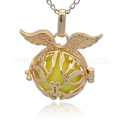 Golden Tone Brass Cage Pendants&nbsp;KK-J213-12G