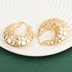 Brass Hoop Earrings&nbsp;EJEW-H168-07G
