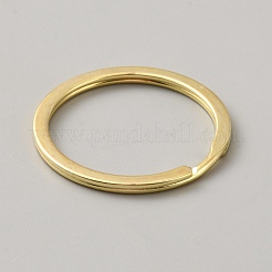 合金ダブルループ丸カン  ラウンド  ゴールドカラー  30x2mm  内径：25mm&nbsp;FIND-WH20019-293G